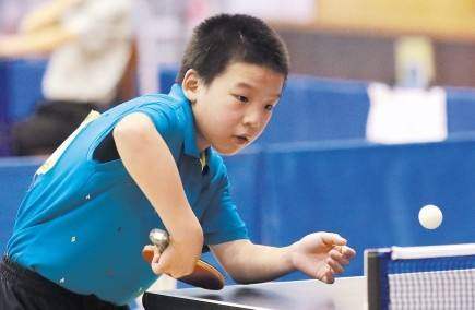 术多样化的 术多样化的