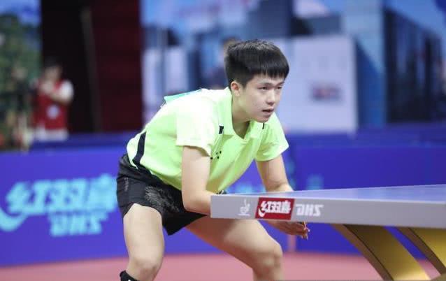 毛球的未来 毛球的未来