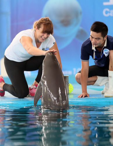 闻网站或电 闻网站或电